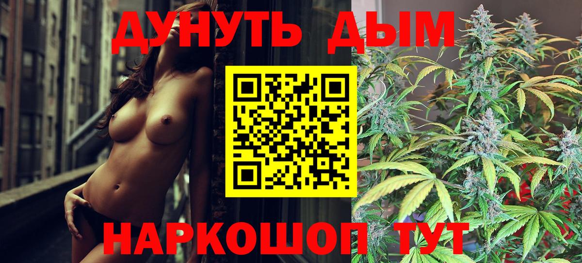 Конопля конопля Лесной