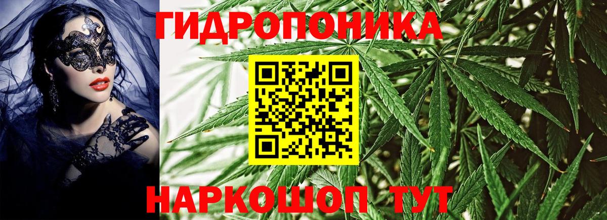 Лесной  МАРИХУАНА индика  Вход с VPN  Бошки Шишки план 